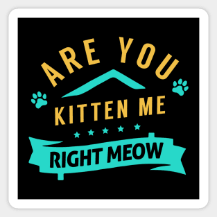 Are You Kitten Me Right Meow Sticker